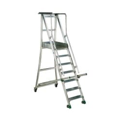 Warehouse Ladders
